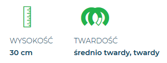 Comfort Deluxe Dual 12 Firm